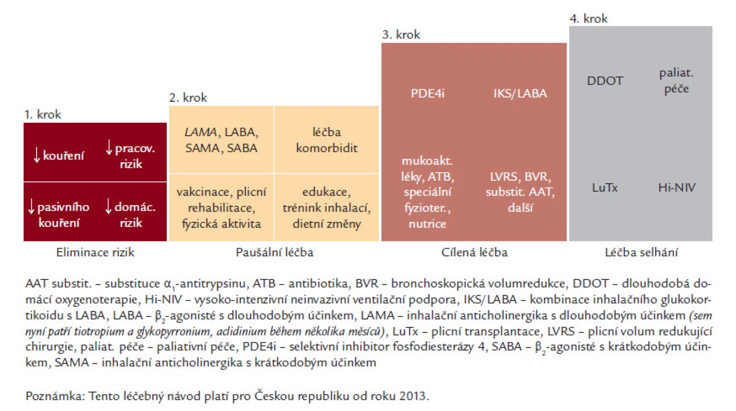 Podrobnější léčebné schéma dle Doporučeného postupu ČPFS (platné v České republice od května roku 2013, volně dostupné na webových stránkách ČPFS).