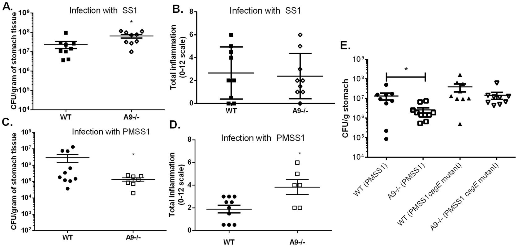 The presence of calprotectin increases bacterial burden and reduces inflammation in WT mice in a <i>cag</i> T4SS-dependent manner.