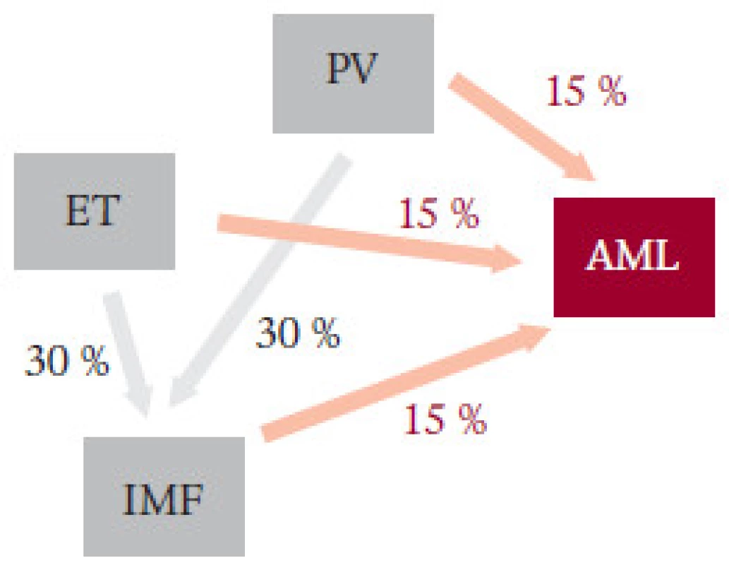 Historická představa rizika přechodu MPO do IMF a do s-AML. Podle Pettita [51].
