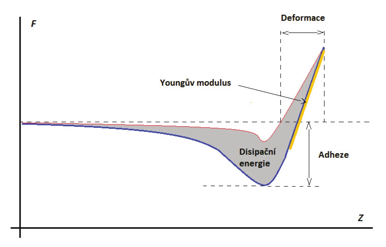 Závislost působící síly na pozici na ose Z – F-d křivka (červená křivka – přibližování, modrá – oddalování), a určení jednotlivých vlastností z F-d křivky během jednoho cyklu Peak Force Tapping. Upraveno z [24].