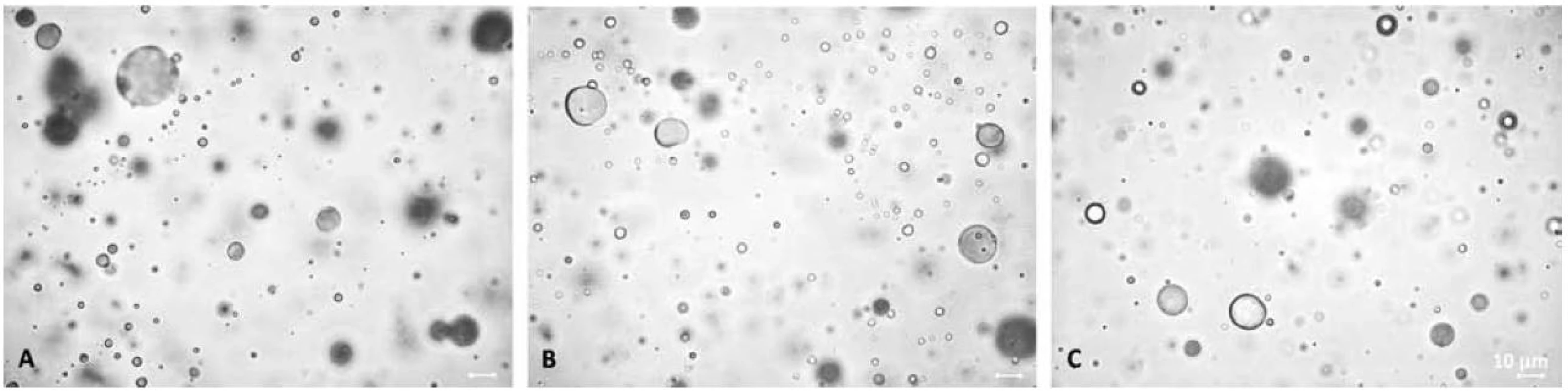Mikroskopický vzhled gelů neobsahujících polysorbát 80: A – bez xylitolu, B – 10 % xylitolu, C – 20 % xylitolu