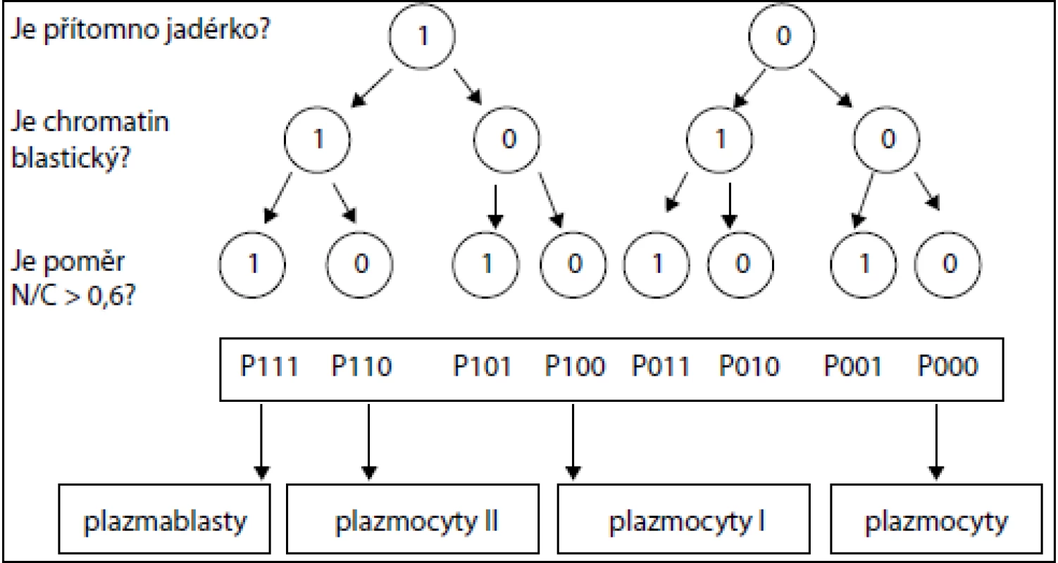 Konstrukce algoritmu pro automatickou subklasifikaci plazmatických buněk u MM. Jsou položeny tři po sobě následující otázky a jejich odpovědi jsou ano (1) nebo ne (0).