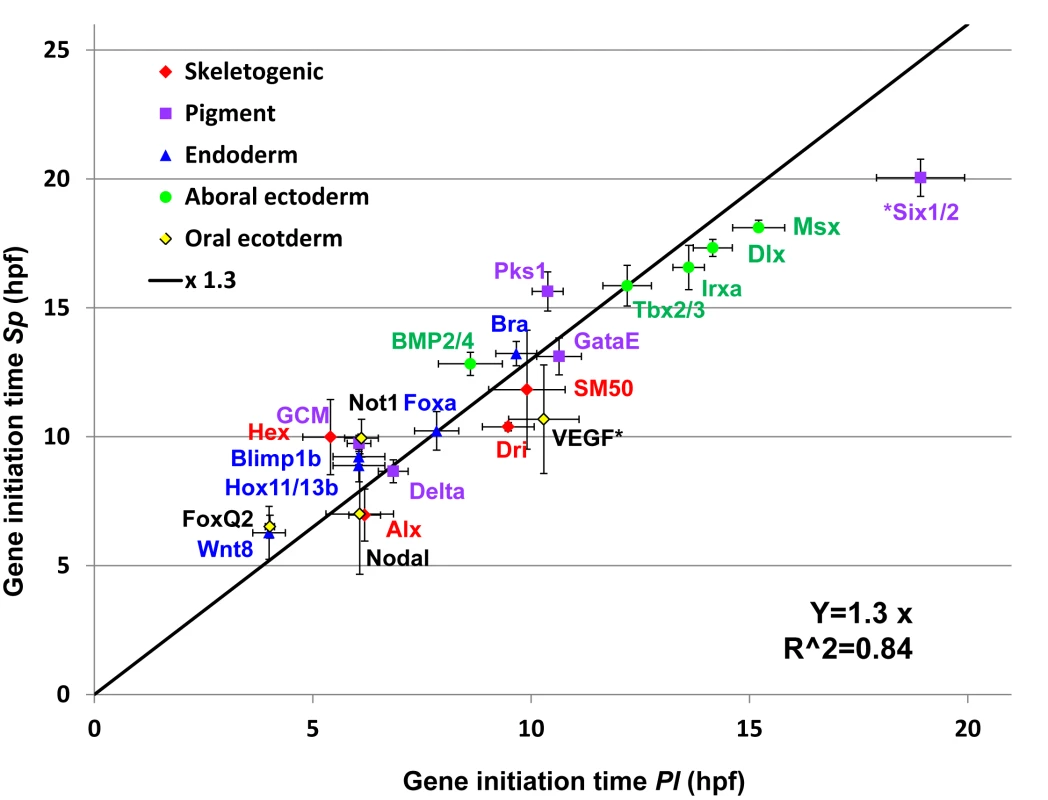 Linear relationship between gene initiation times in <i>Sp</i> and <i>Pl</i>.