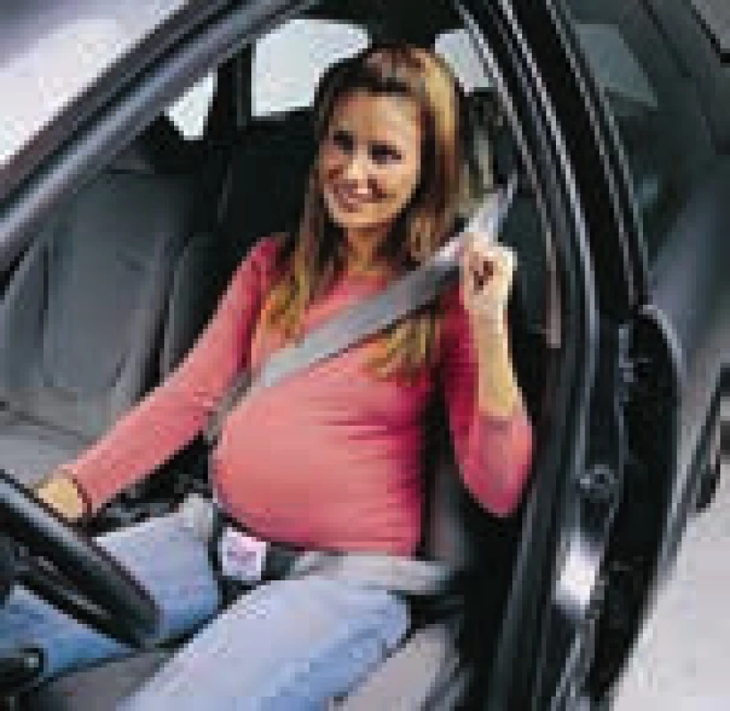 doplněk BeSafe Pregnant Belt