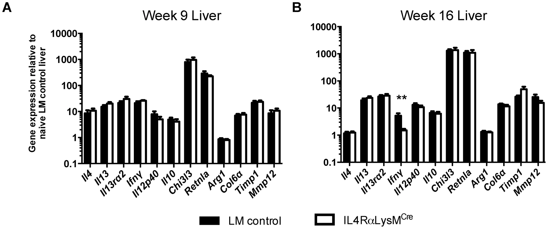 Normal expression of AAM-associated genes in IL-4Rα<sup>flox/Δ</sup>LysM<sup>Cre</sup> liver.