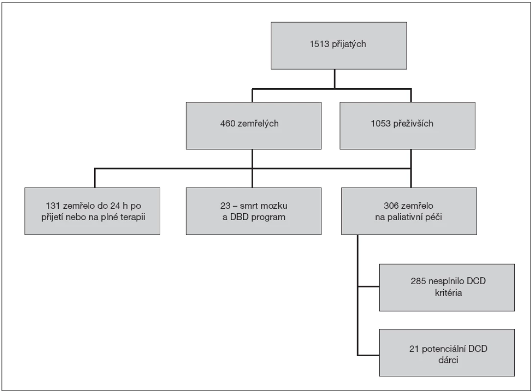 Průběh analýzy potenciálních dárců orgánů po nevratné zástavě oběhu (DCD) mezi pacienty Kliniky anesteziologie a resuscitace FNKV v letech 2010 a 2011