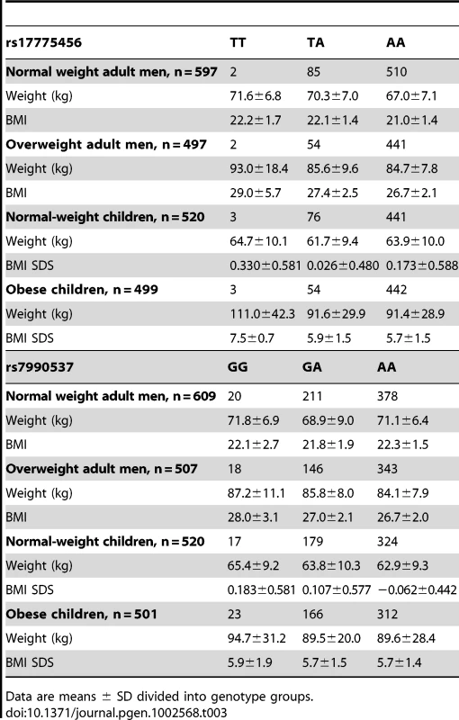 Anthropometric characteristics in 50 year-old men and children stratified according to weight status and <i>NBEA</i> rs17775456 and rs7990537 genotype.