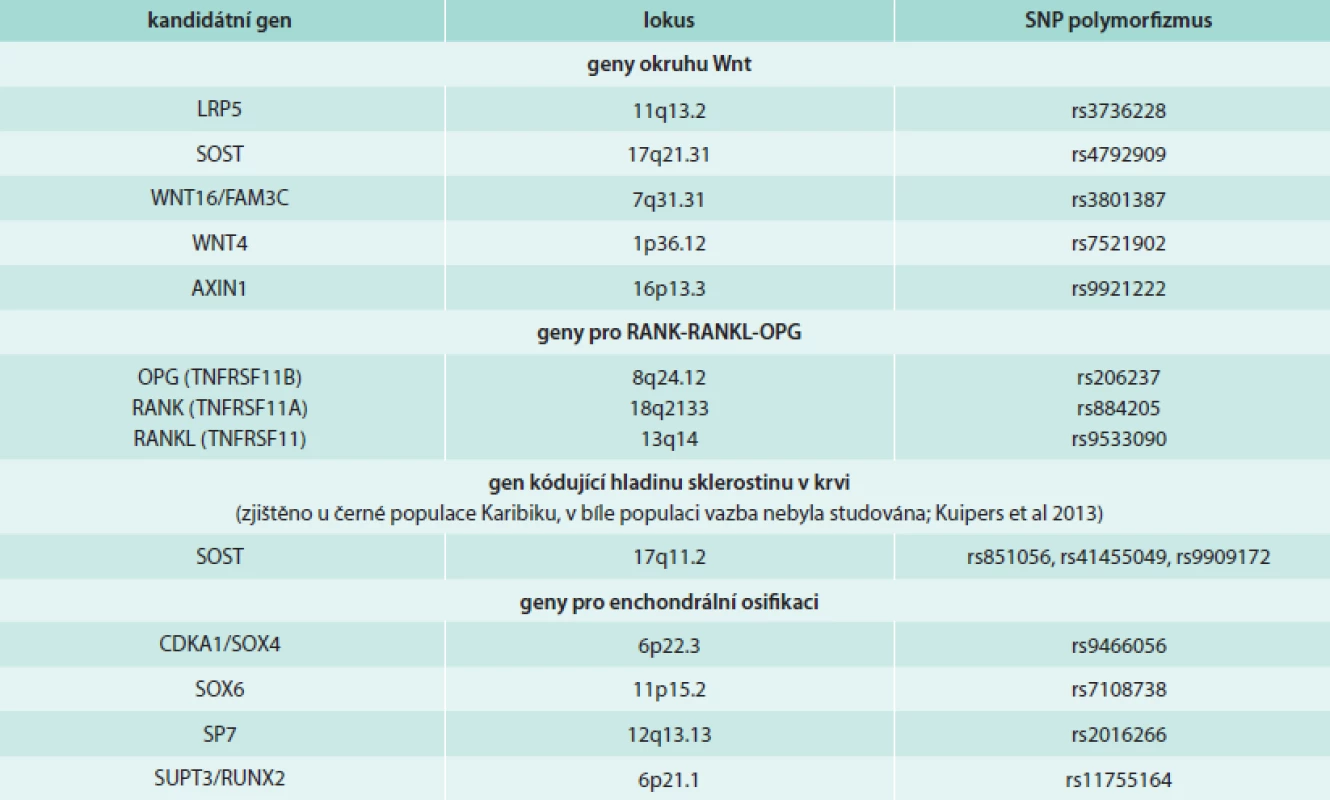 Výběr genů asociovaných s kostní denzitou krčku femoru nebo páteře identifikované metodou GWAS.
Upraveno podle [5].