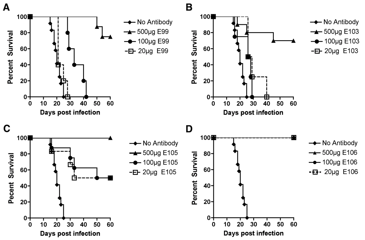 Dose response of protective efficacy MAbs in mice infected with DENV-1.