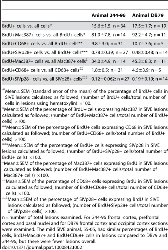 Percentages of BrdU+, Mac387+, CD68+ and SIVp28+ cells in SIVE lesions.