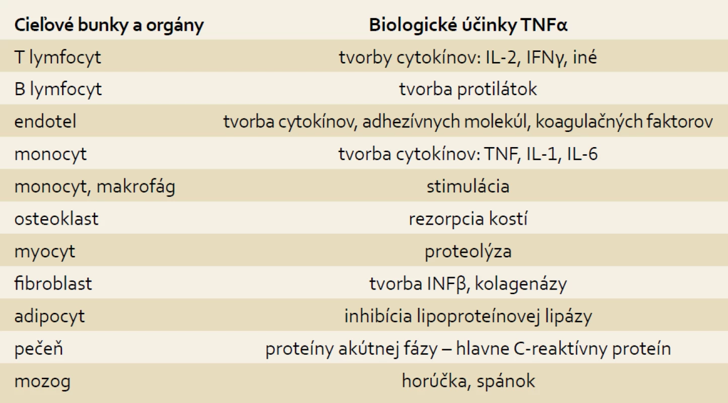 Aktivity TNFα v ľudskom organizme [8].
Tab. 2. TNFα activities in the body [8].