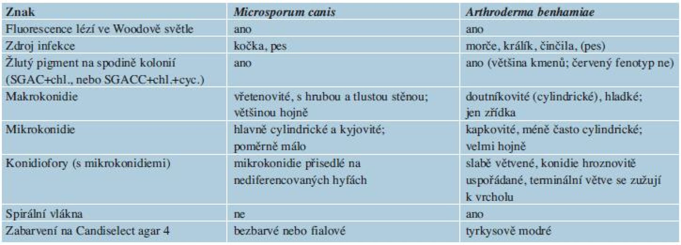 Shody a rozdíly mezi &lt;i&gt;Arthroderma benhamiae&lt;/i&gt; a &lt;i&gt;Microsporum canis&lt;/i&gt;