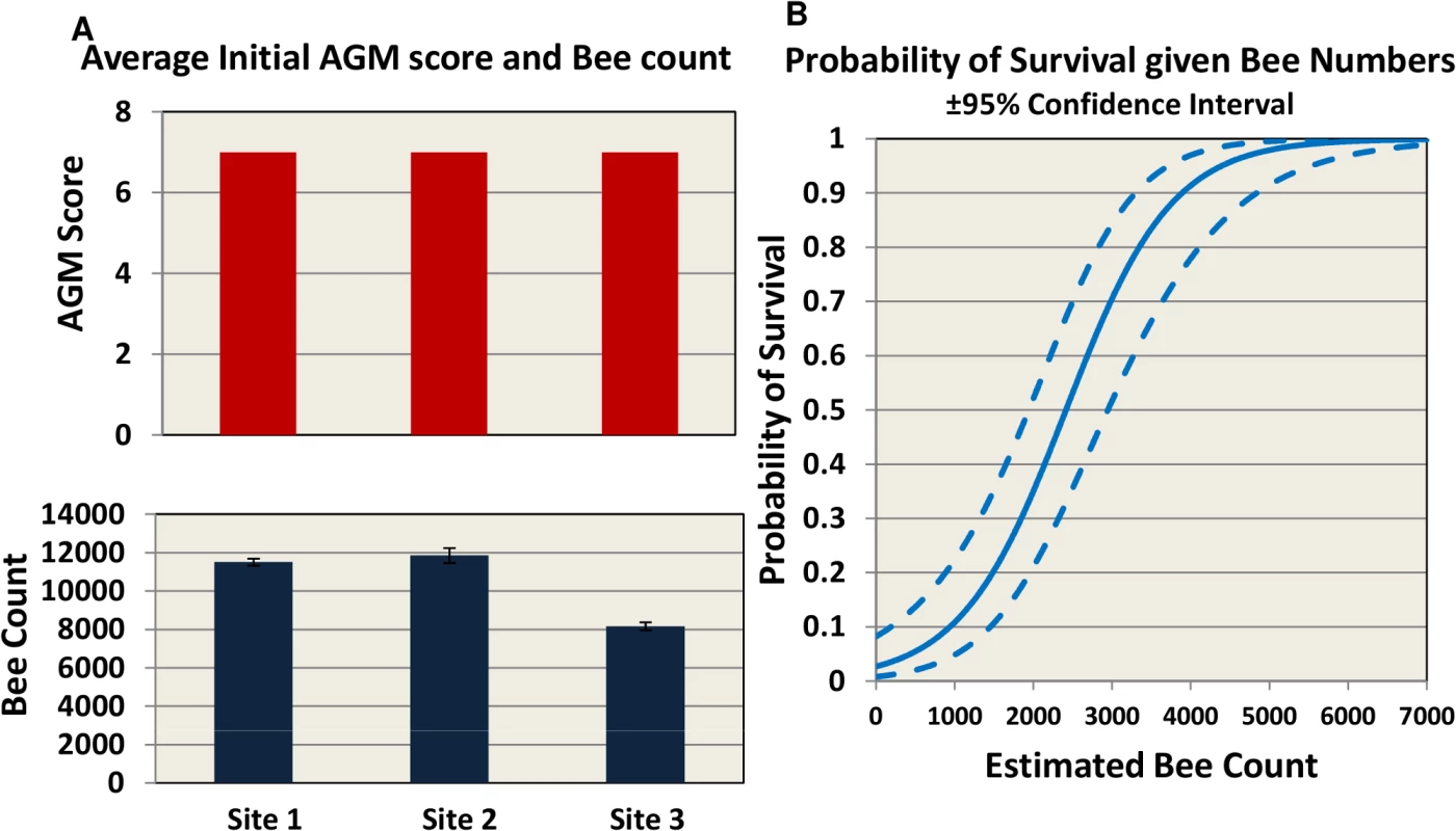 Initial AGM and bee counts and survival given hive population.