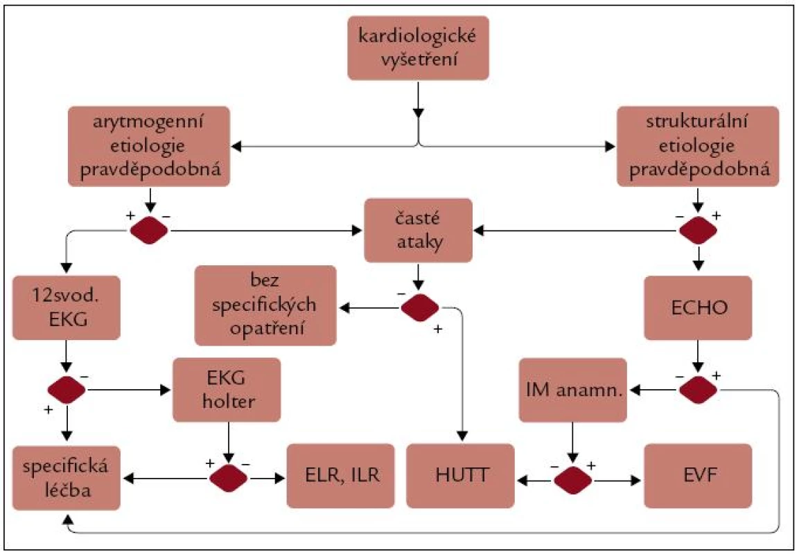 Algoritmus došetření pravděpodobné kardiogenní etiologie synkopy.