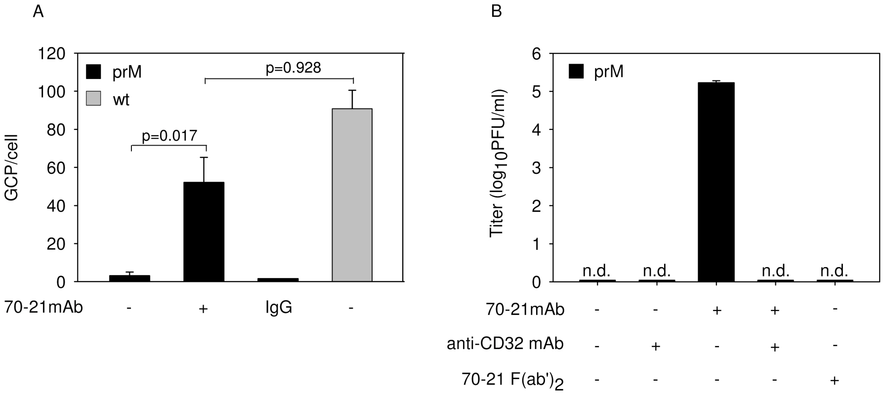 Anti-prM antibody stimulates binding of immature DENV particles to cells through interaction with FcγIIR.