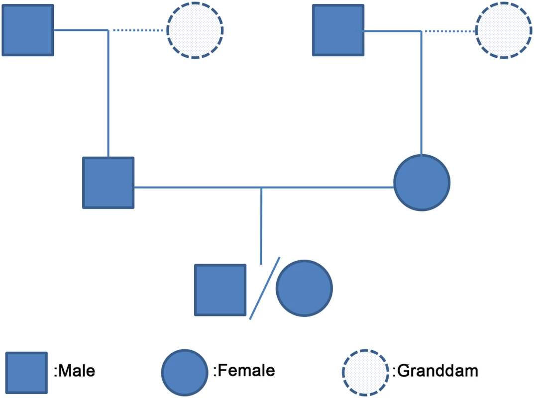 A three-generation family used for phasing haplotypes and inferring crossovers.