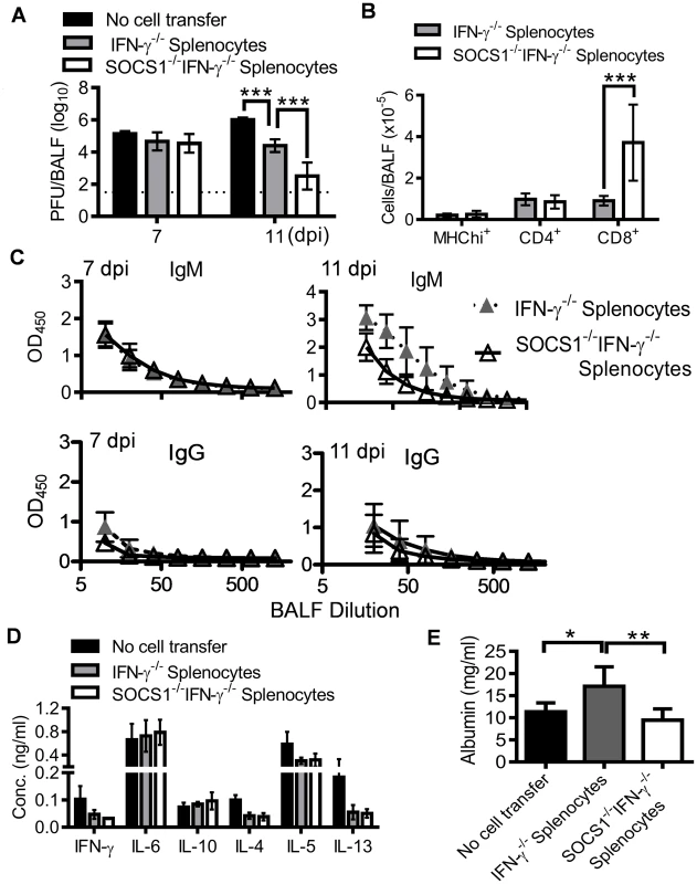 Antiviral immune responses in RAG1<sup>−/−</sup> mice reconstituted with SOCS1<sup>−/−</sup>IFN-γ<sup>−/−</sup> adaptive immune cells.