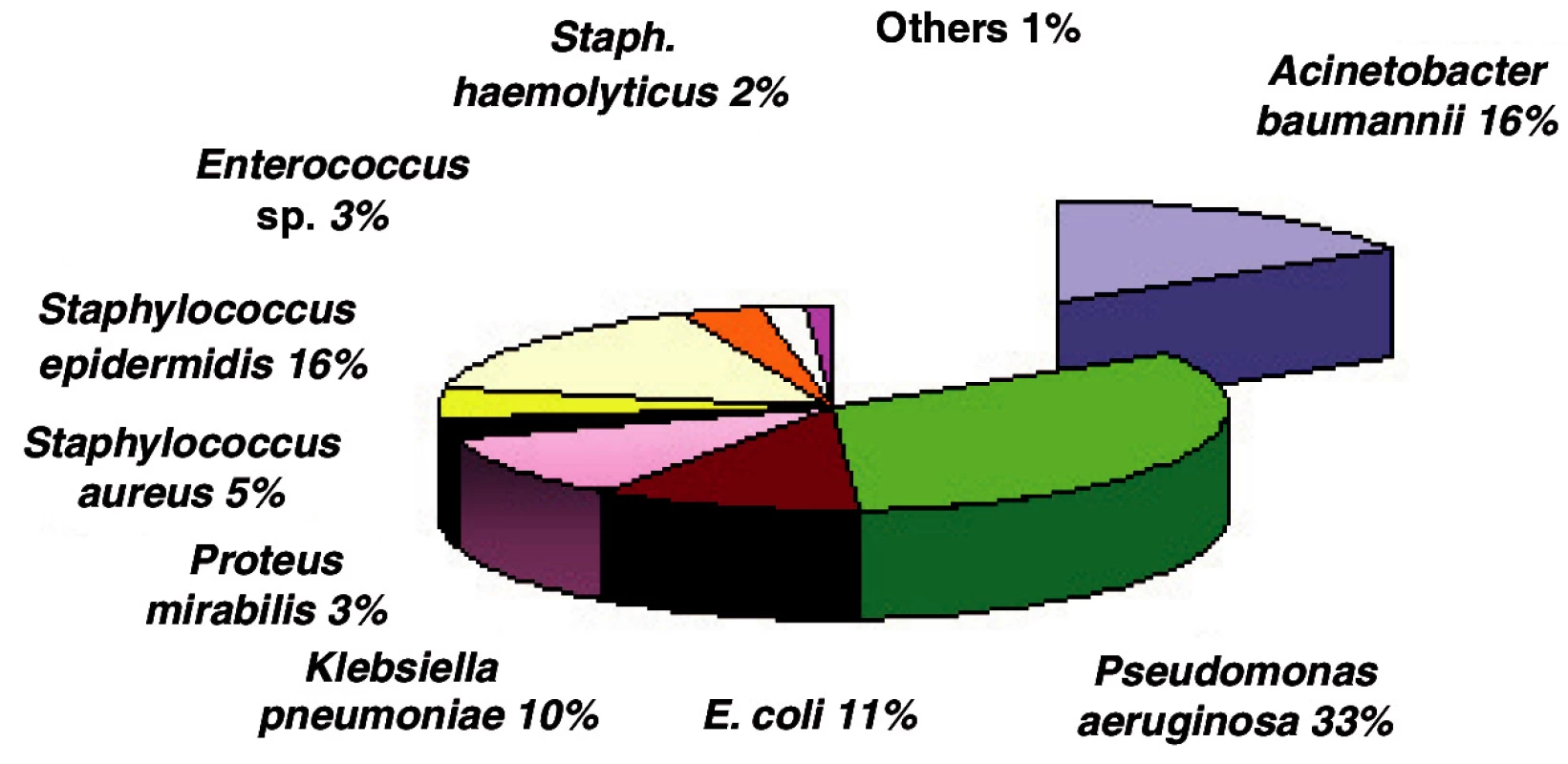 Incidence of bacterial strains in ICU in 2006