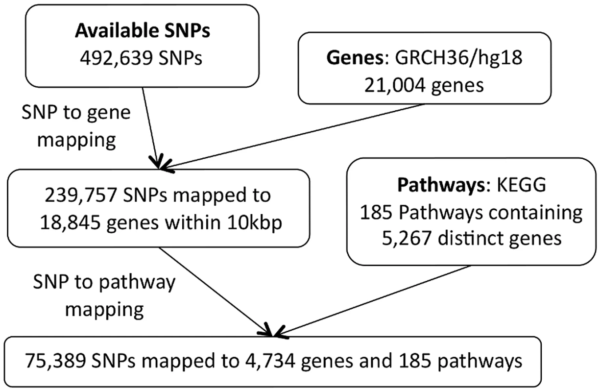 SP2 dataset: SNP to pathway mapping.