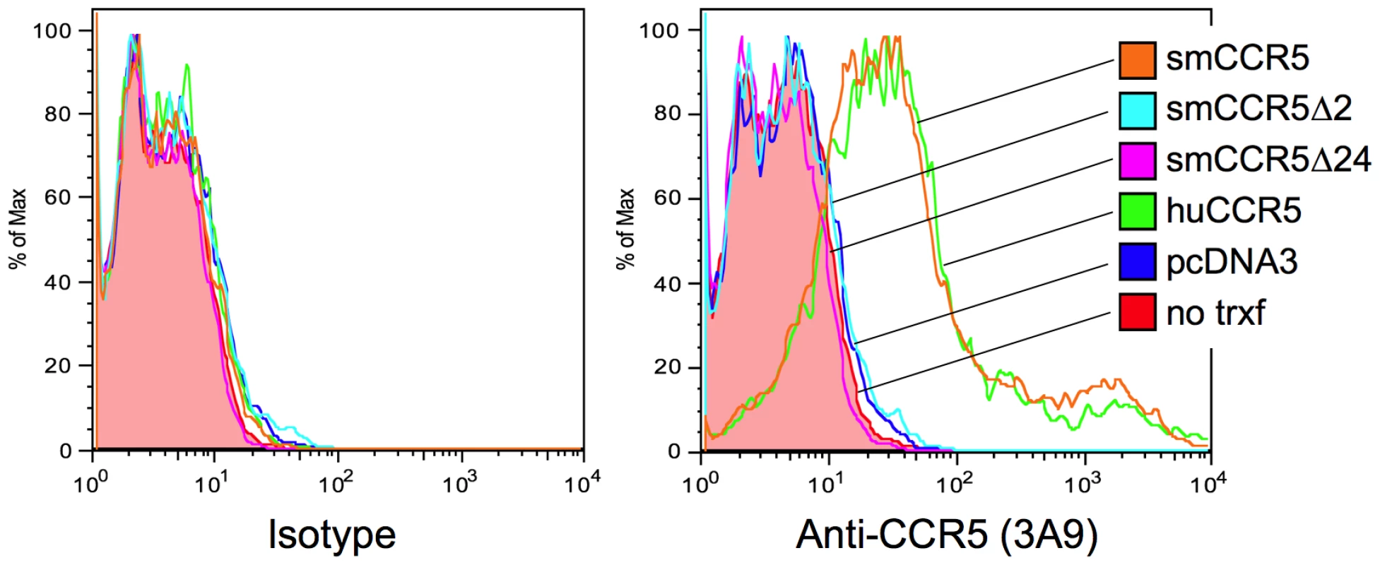 Surface expression of wild-type and mutant CCR5 variants <i>in vitro</i>.