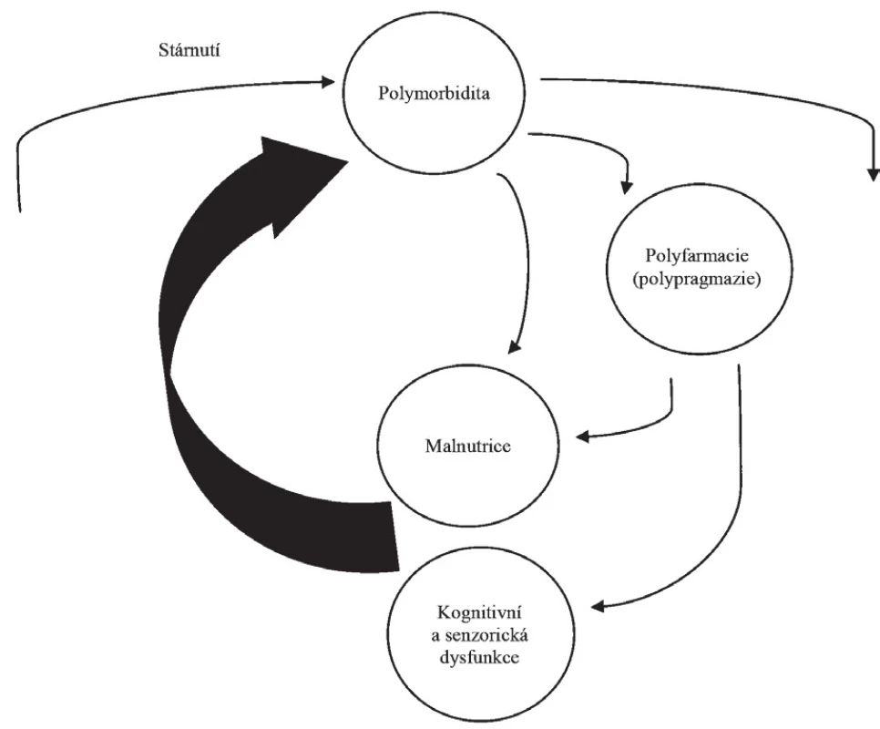 Začarovaný kruh: vztah mezi stárnutím, malnutricií a polyfarmacií