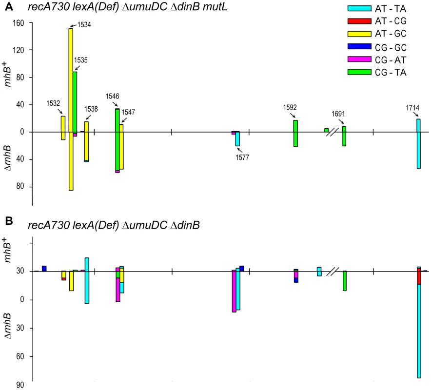 Spectra of spontaneously arising <i>rpoB</i> mutations in <i>recA730 lexA</i>(Def) Δ<i>umuDC</i> Δ<i>dinB</i> strains expressing <i>umuC</i>_Y11A and proficient- or deficient- in MMR and RNase HII- mediated RER.