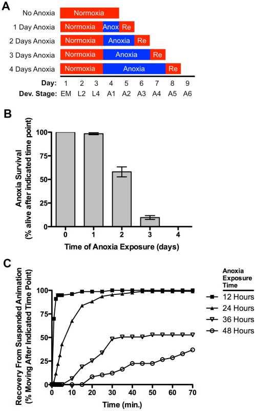 Anoxia promotes suspended animation and eventually death in <i>C. elegans</i>.