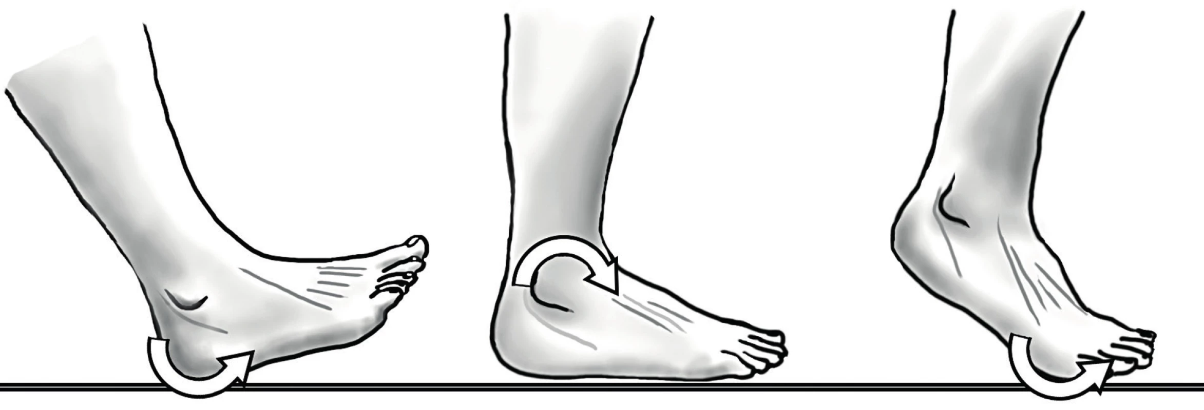 Model tří kolébek („rockers“) krokového cyklu; první zhoupnutí (patní) – dopad paty při úvodním kontaktu s podložkou; druhé (hlezenní) zhoupnutí – noha je zatížením fixována k podložce, bérec se vzhledem k ní posunuje vpřed; třetí zhoupnutí (kolem hlaviček MTT) – bérec se i nadále pohybuje vpřed, zvedá se pata, dochází k dorzální flexi přednoží a plantární flexi v hleznu.