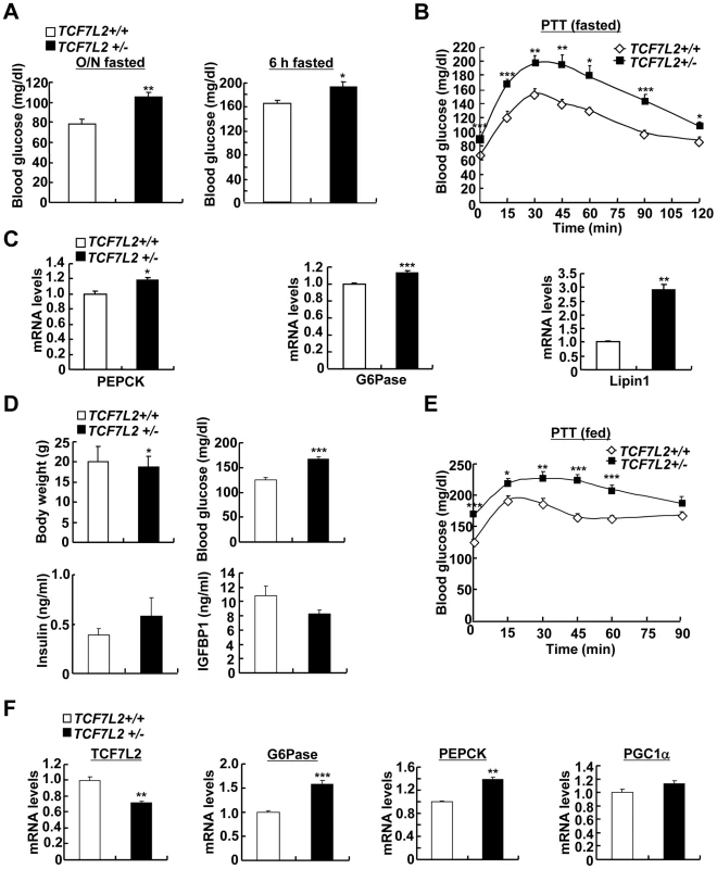 Chronic depletion of TCF7L2 promotes increased glucose production from the liver.