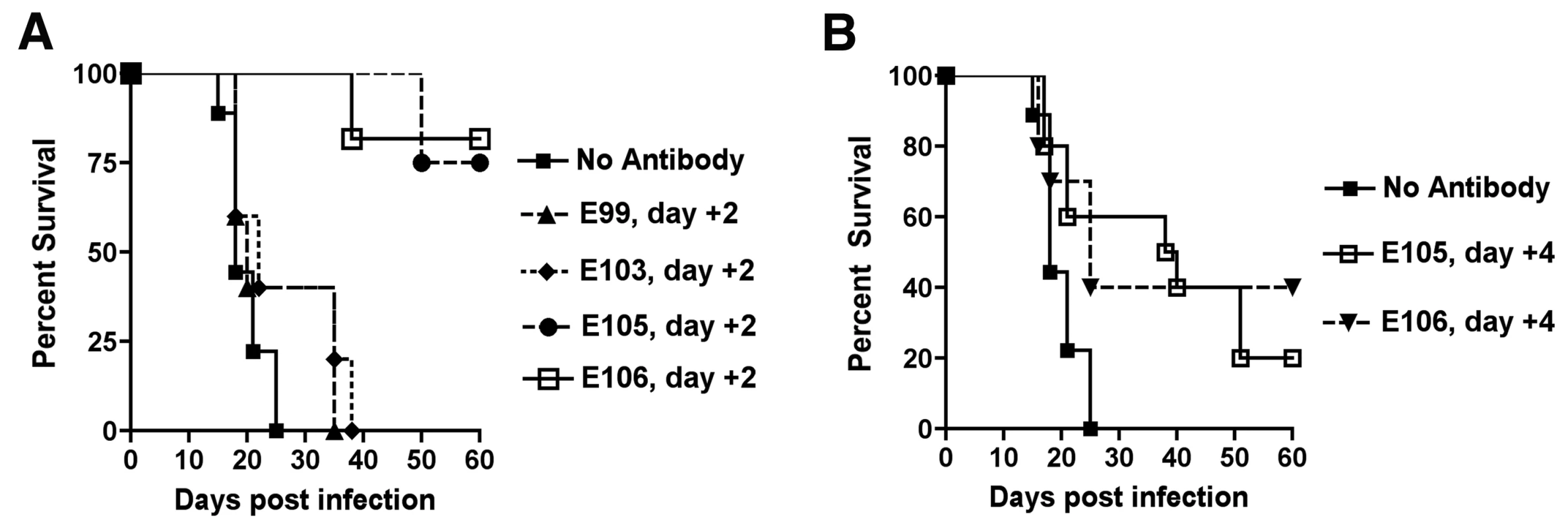 Therapeutic efficacy of strongly neutralizing antibodies in mice after DENV-1 infection.