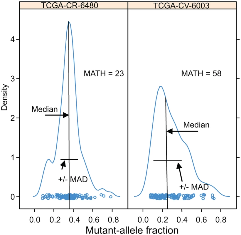 Examples of distributions of intra-tumor MAFs and their relation to MATH values.