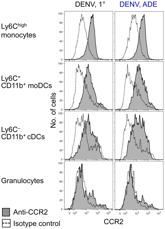 CCR2 expression on Ly6C<sup>high</sup> monocytes, moDCs, and cDCs.