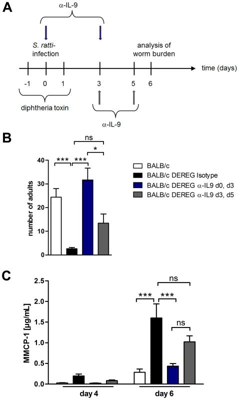 Depletion of IL-9 during <i>S. ratti</i> infection in BALB/c DEREG mice at different time points.