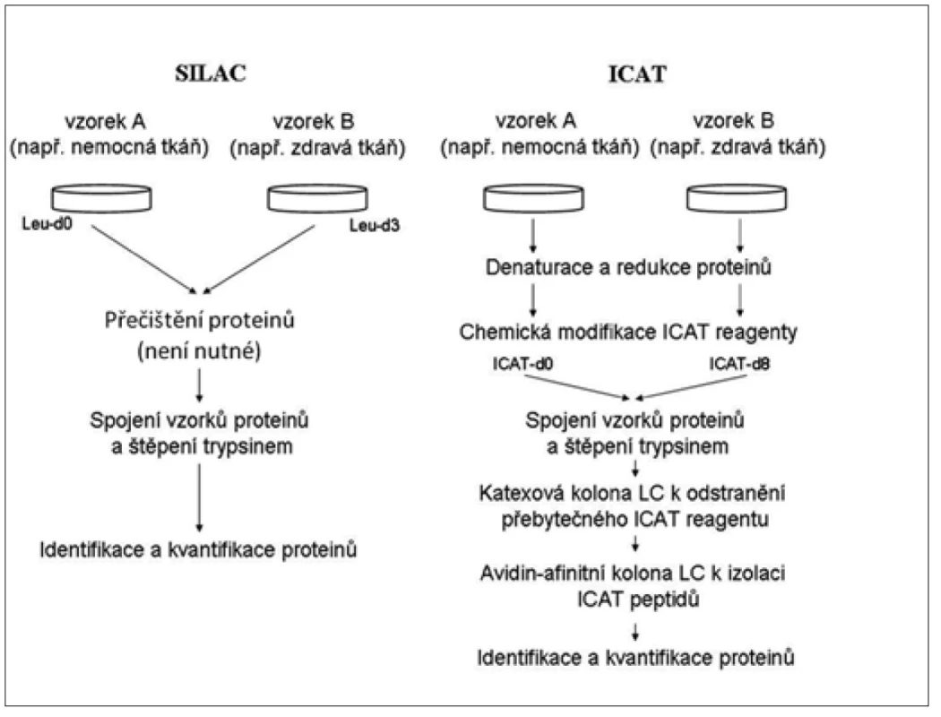 Schematické znázornění a porovnání metod SILAC a ICAT [45].