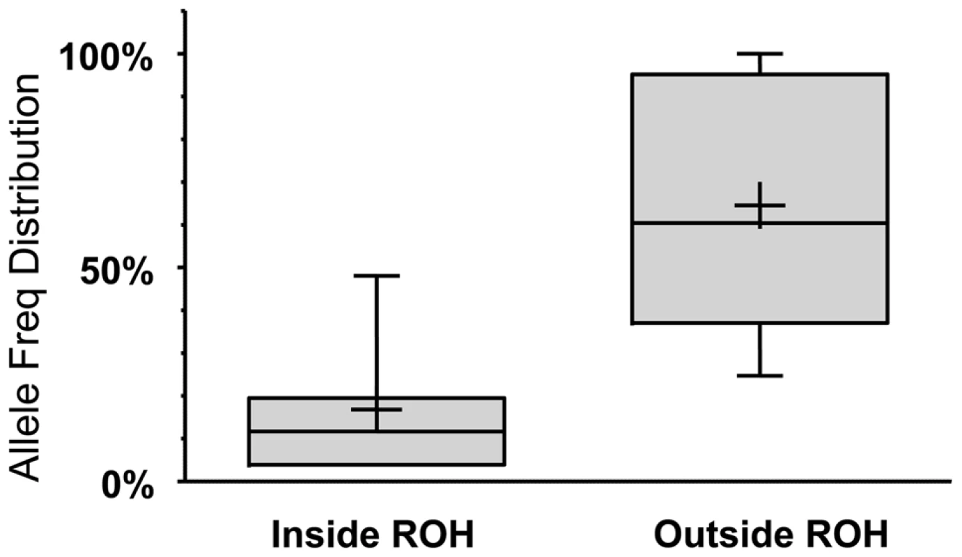 LoF alleles that are significantly biased (at p&lt;0.1 using a one-tailed binomial test, see <em class=&quot;ref&quot;>Text S1</em> for details) to be within the autozygome (when called at a minimum ROH cutoff of 2MB) are rarer compared to alleles biased to be outside of the autozygome.
