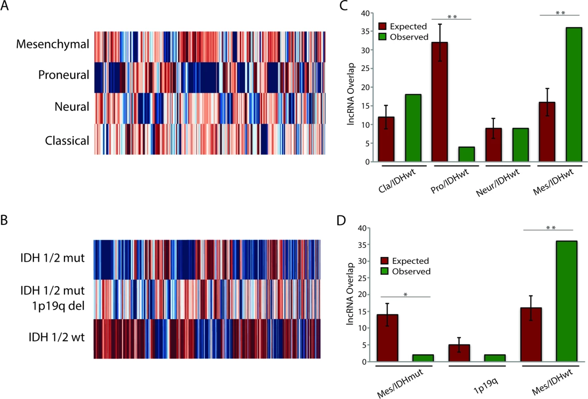 Identification of subtype-associated lncRNAs reveals similarities between GBM and LGG subtypes.