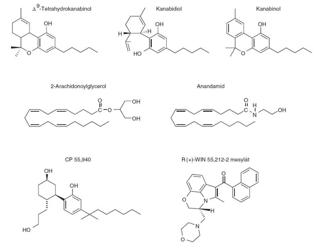 Fytokanabinoidy (psychoaktivní Δ9-tetrahydrokanabinol, nepsychoaktivní kanabidiol, slabě psychoaktivní kanabinol), endokanabinoidy (2-arachidonoylglycerol, anandamid) a syntetické kanabinoidy (CP 55,940, WIN 55,212-2).