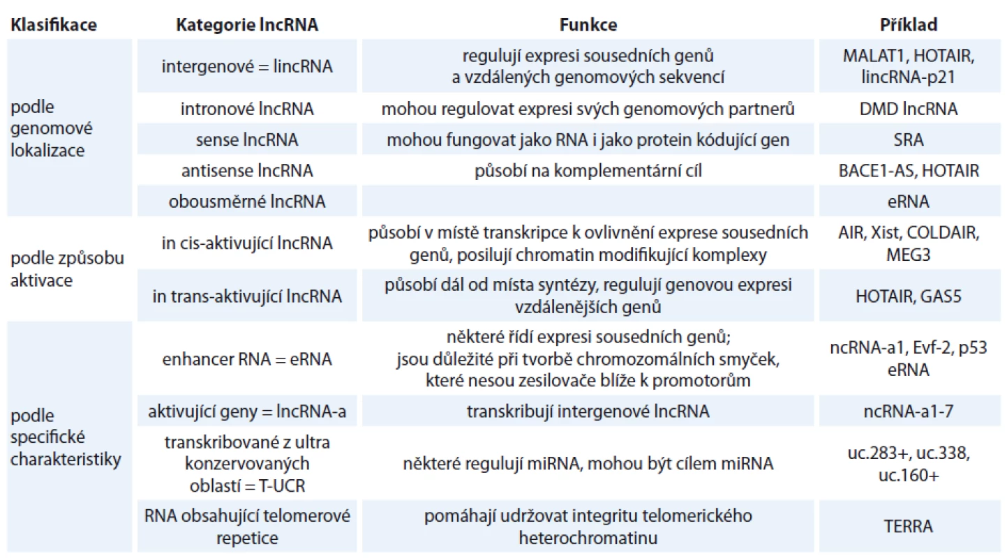 Příklady klasifikace lncRNA [6,13,16,18].