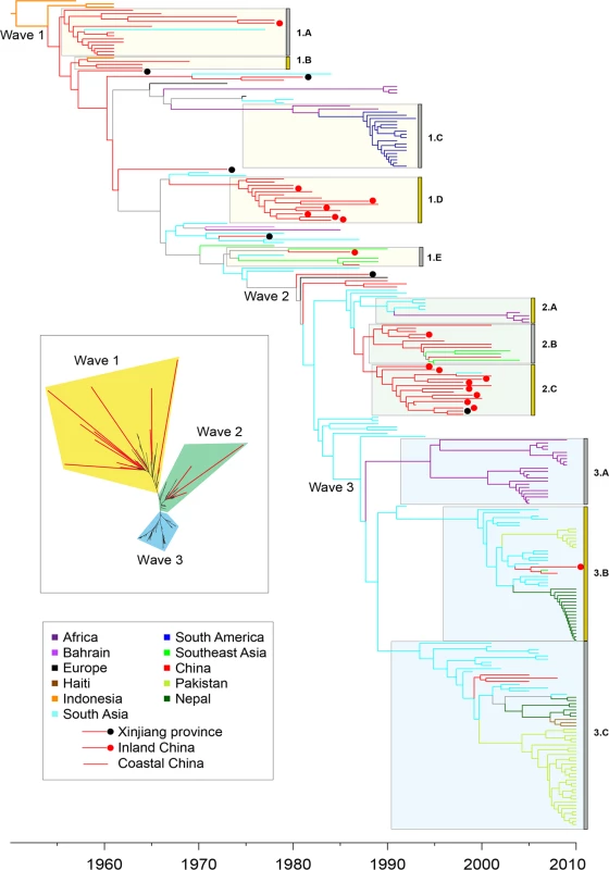 Timed phylogeny for 6,335 SNPs in 260 genomes from the seventh pandemic.