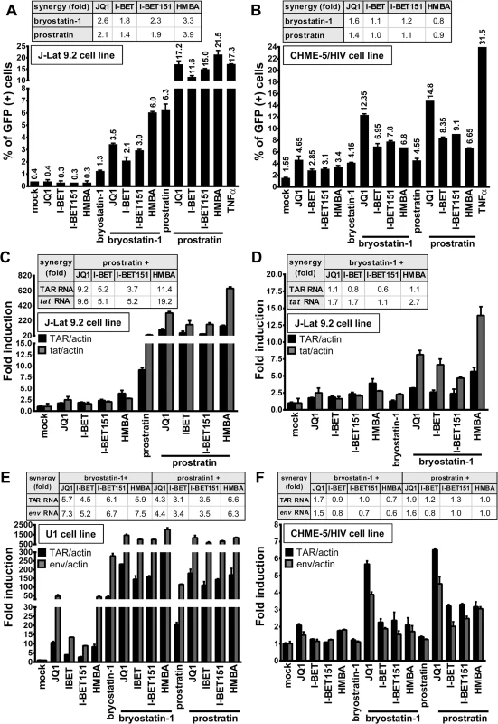 PKC agonist+BETi/HMBA combined treatments increase HIV-1 expression in a higher proportion of cells than the drug alone and synergistically enhance viral transcription.