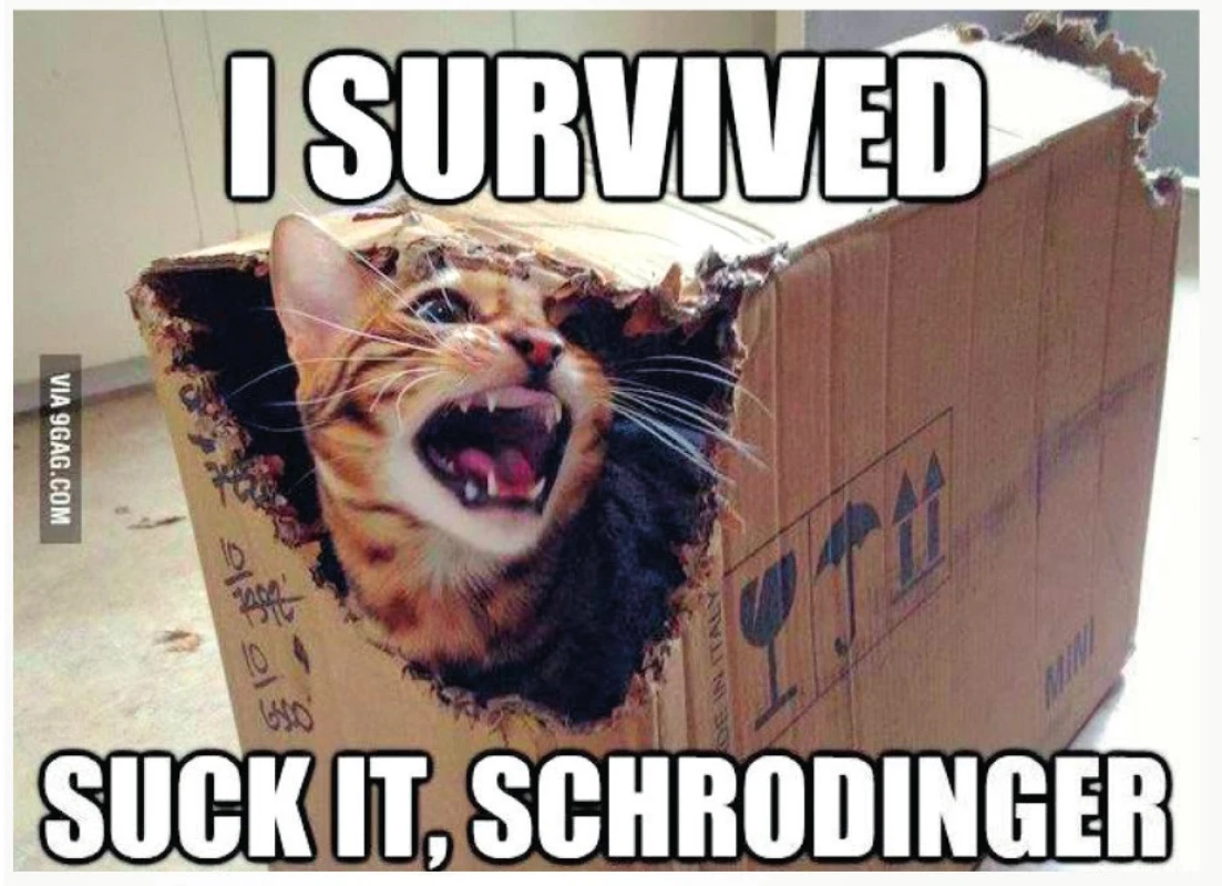 Schrödingerova mačka prežila. Superpozíciu pozorovanie – meranie zmenilo v reálny optimálny stav (3 – so súhlasom autora).