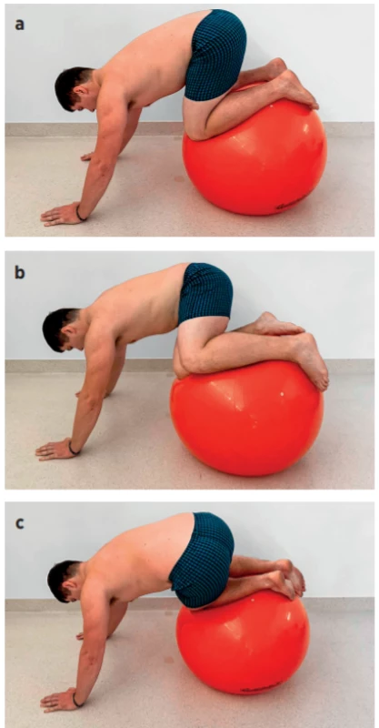 24a–24c Celkové posílení svalů horních a dolních
končetin spolu s hlubokým stabilizačním systémem v pozici na
čtyřech a využitím činek.