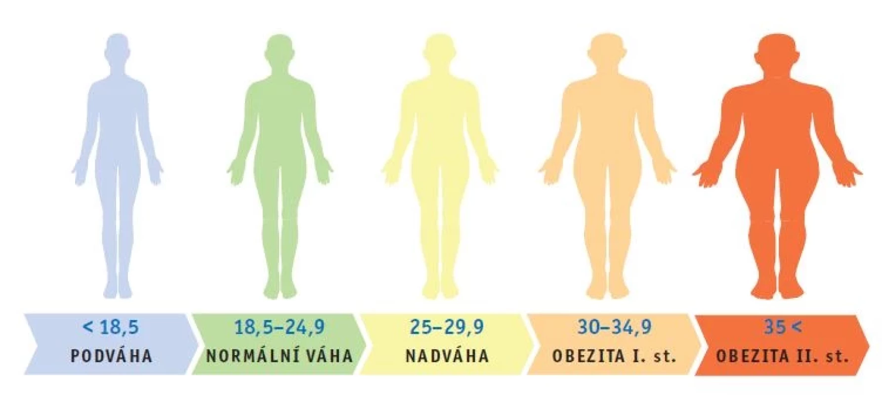 Hranice hodnot BMI