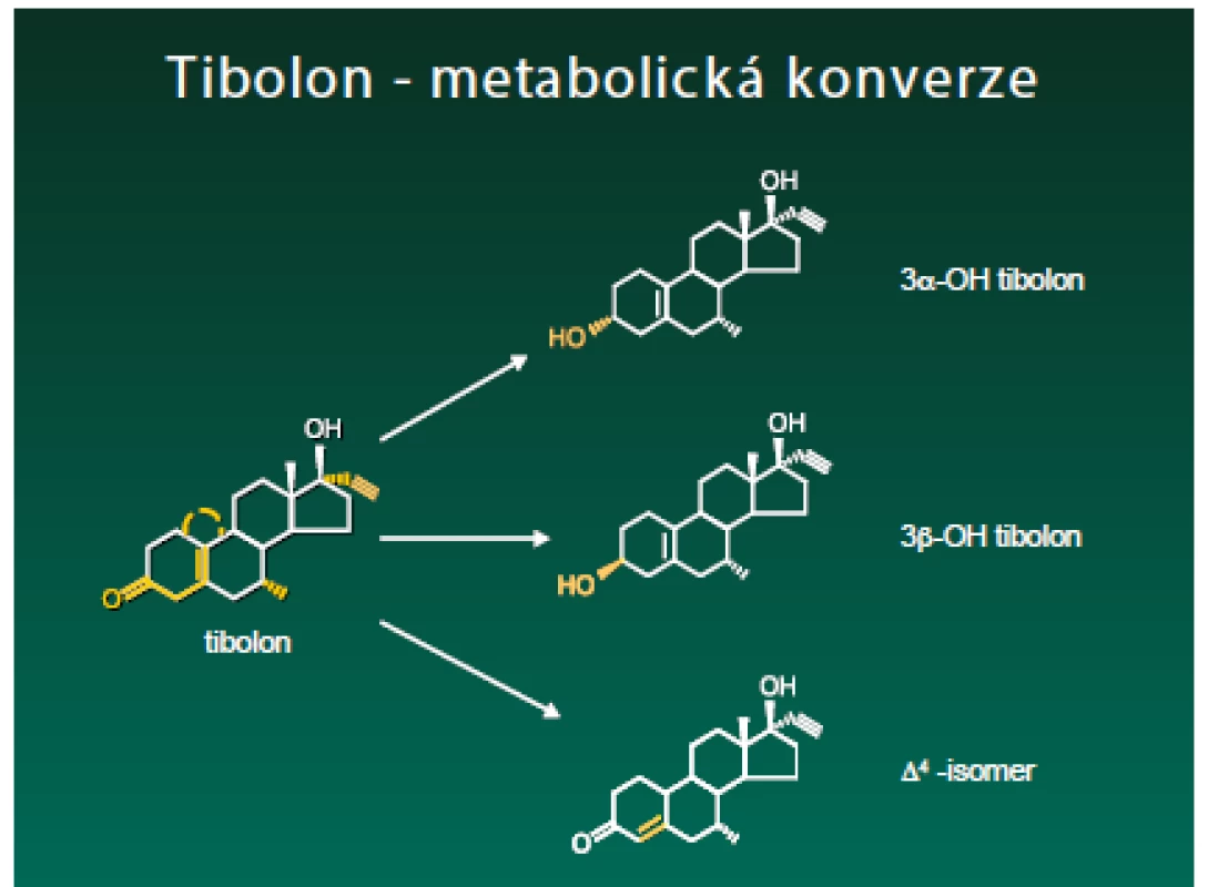 Metabolismus tibolonu