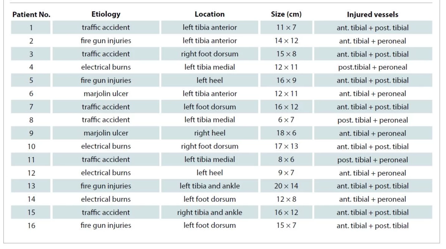 Defects – etiology, location, size, and the injured vessels.