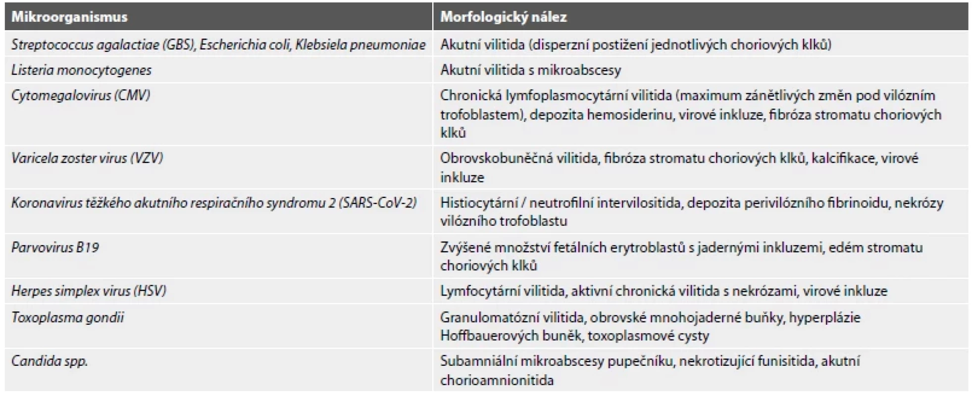 Charakteristické morfologické nálezy v placentě při infekci vybranými mikroorganismy.