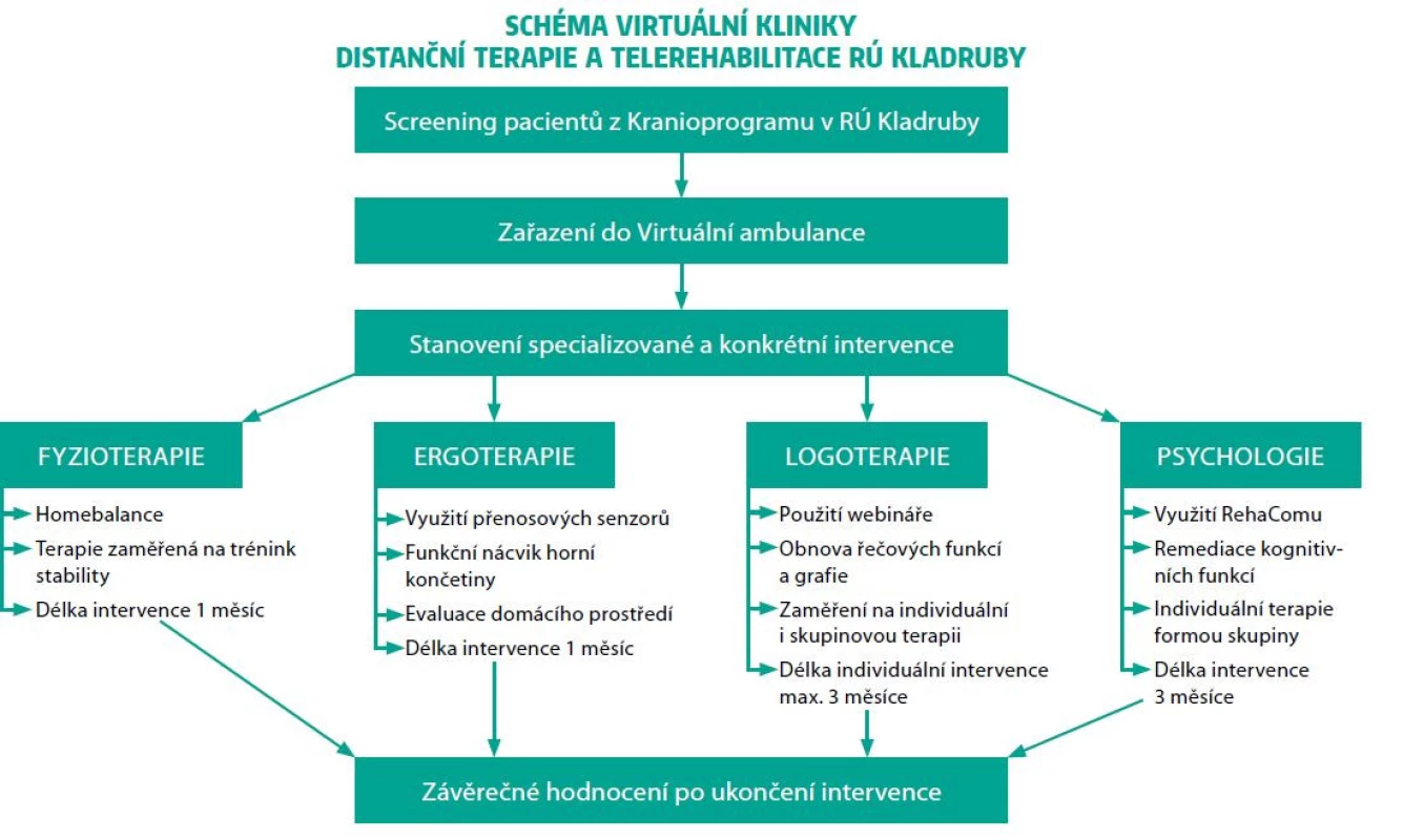 Kladrubský model distanční terapie (schéma)