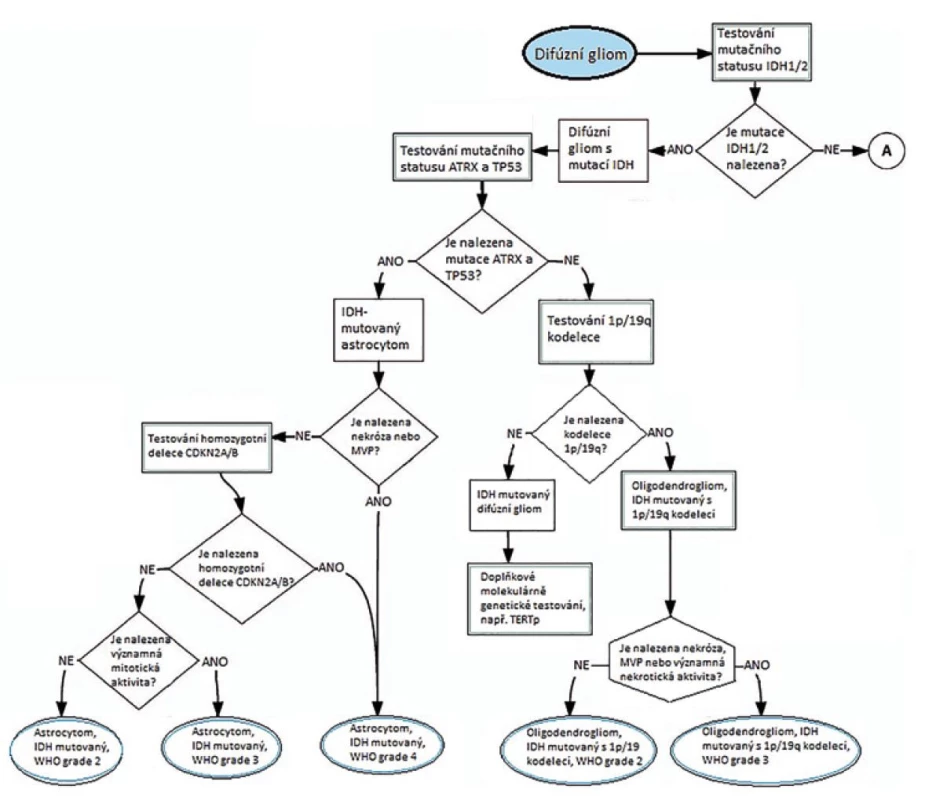 Schéma diagnostiky IDH mutovaných gliomů (převzato z 21).