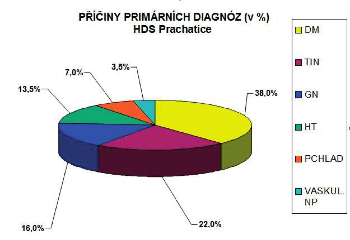Příčiny primárních diagnóz (v %)
