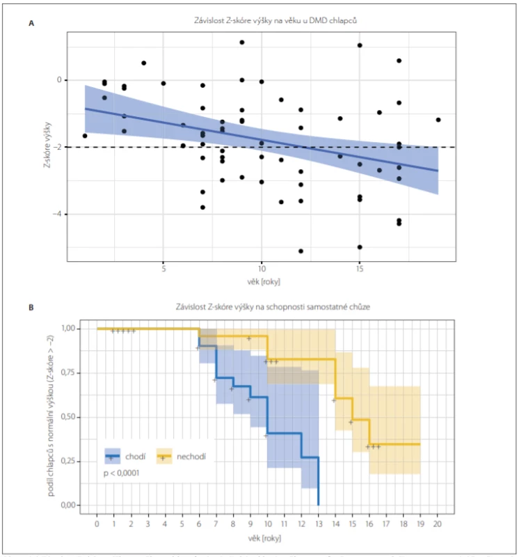 (A) Závislost Z-skóre výšky na věku u chlapců s DMD. Z-skóre klesá s věkem v průměru o 0,1 za rok (F test; p = 0,005). Přerušovaná
čára znázorňuje dolní referenční mez. Modře je znázorněn výsledek lineární regrese (střední hodnota a 95% konfidenční interval).
(B) Kaplan-Meierova křivka ukazuje podíl chlapců s malou výškou (Z-skóre < –2,0) vzhledem k věku. Chodící chlapci s DMD (modře)
mají výskyt malé výšky časněji než chlapci nechodící (žlutě); (log-rank test; p < 0,001).<br>
Fig. 3. (A) The dependency of Z-score of height on age in boys with DMD. Z-score is reduced by 0.1 per year of age on average (F test;
P = 0.005). The dashed line shows the lower reference value for normal height. The result of linear regression is shown in blue (mean
value and 95% confi dence interval).
(B) Kaplan-Meier curve showing the occurence of small height (Z-score < –2.0) in dependancy on age. Small height occures sooner in
walking boys with DMD (blue curve) than in non-walking boys with DMD (yellow curve); (log-rank test; P < 0.001).